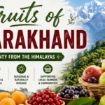 Fruits of Uttarakhand